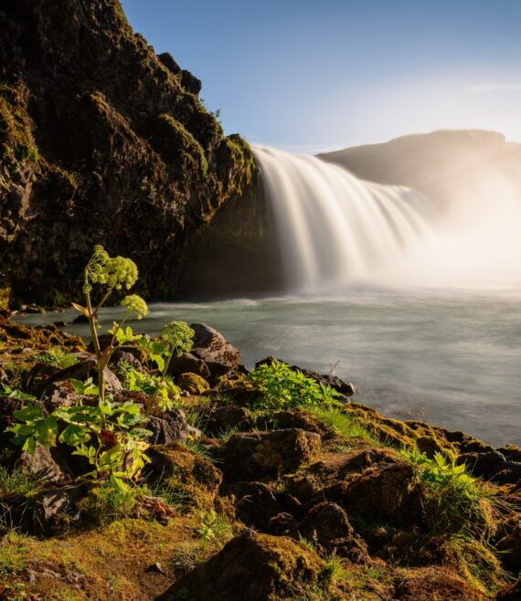 FF012D74-BDC2-4BA8-92DC-4F9AA716AEEA